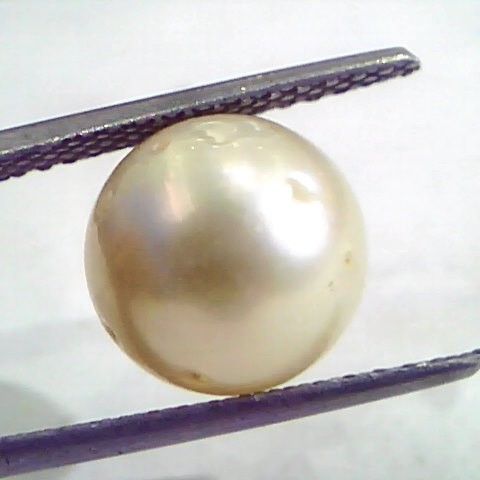 7.82 Carat Natural Certified Real South Sea Pearl,Certified Moti