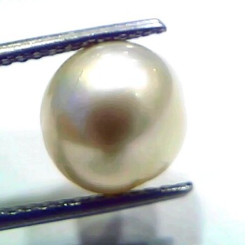 7.82 Ct Natural Certified Real South Sea Pearl Certified Moti
