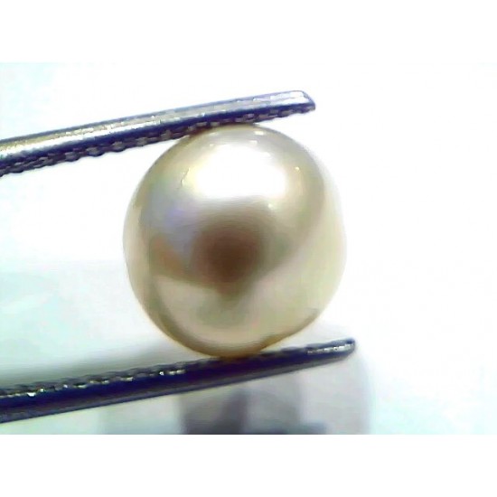 7.82 Ct Natural Certified Real South Sea Pearl Certified Moti