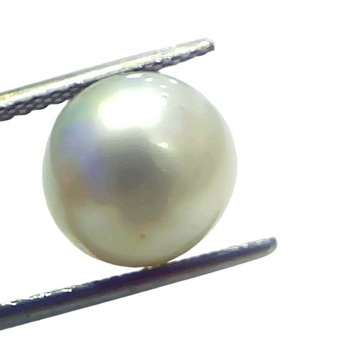 7.85 Ct Natural Certified Real South Sea Pearl Certified Moti