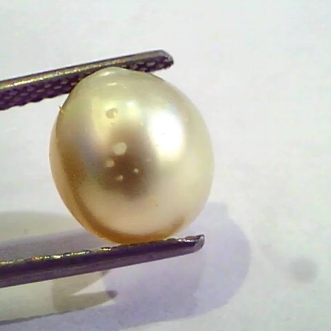 7.91 Carat Natural Certified Real South Sea Pearl,Certified Moti