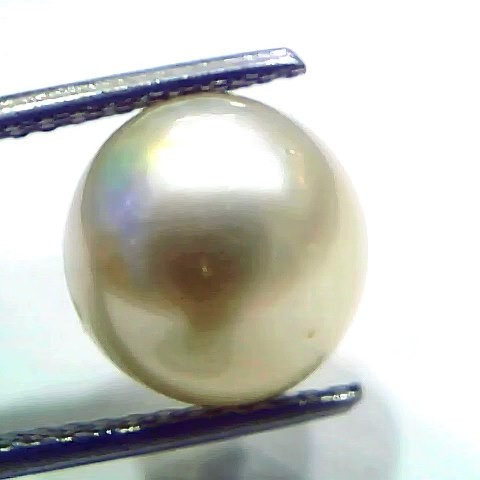 7.86 Ct Natural Certified Real South Sea Pearl Certified Moti
