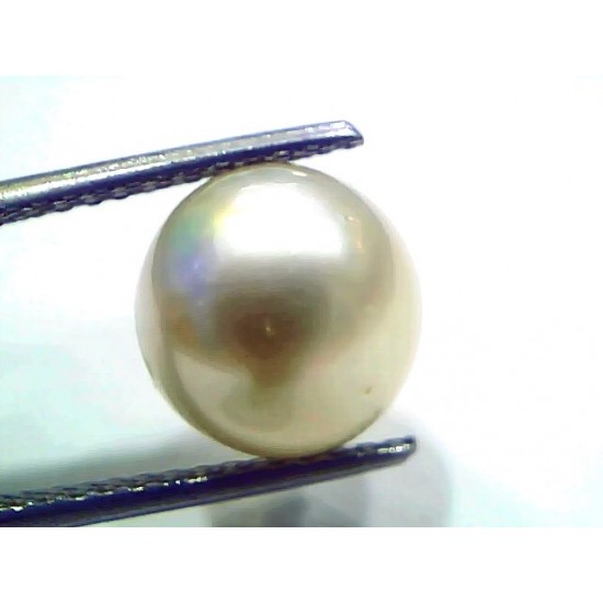7.86 Ct Natural Certified Real South Sea Pearl Certified Moti