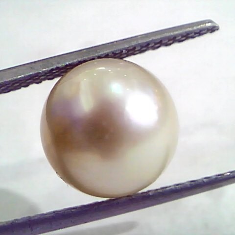 8.02 Carat Natural Certified Real South Sea Pearl,Certified Moti