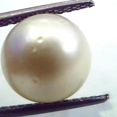 7.98 Carat Natural Certified Real South Sea Pearl,Certified Moti