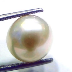 7.88 Ct Natural Certified Real South Sea Pearl Certified Moti