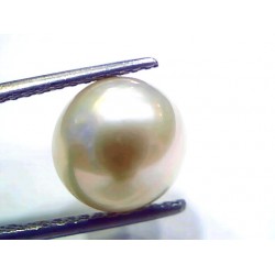 7.88 Ct Natural Certified Real South Sea Pearl Certified Moti