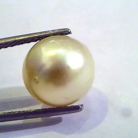 8.00 Carat Natural Certified Real South Sea Pearl,Certified Moti