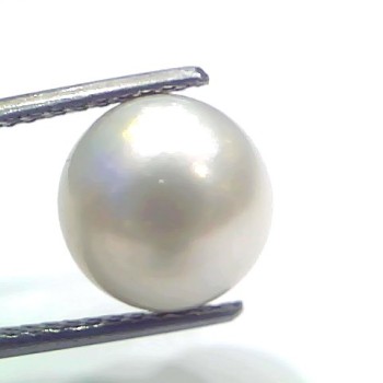 7.99 Ct Natural Certified Real South Sea Pearl Certified Moti
