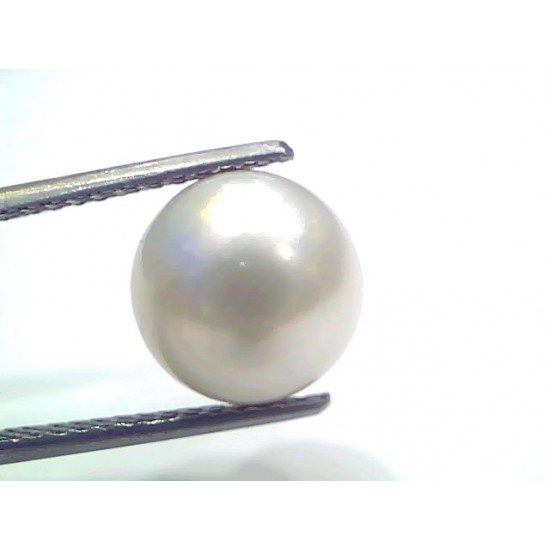 7.99 Ct Natural Certified Real South Sea Pearl Certified Moti