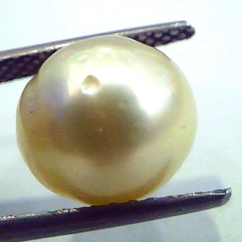 8.04 Carat Natural Certified Real South Sea Pearl,Certified Moti