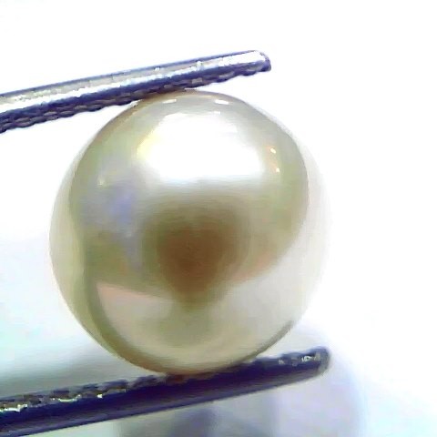 8.11 Ct Natural Certified Real South Sea Pearl Certified Moti