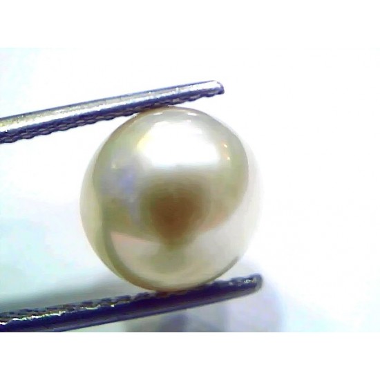 8.11 Ct Natural Certified Real South Sea Pearl Certified Moti