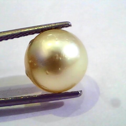 8.17 Carat Natural Certified Real South Sea Pearl,Certified Moti