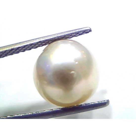 8.19 Ct Natural Certified Real South Sea Pearl Certified Moti