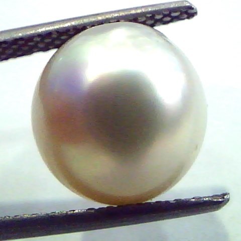 8.26 Carat Natural Certified Real South Sea Pearl,Certified Moti