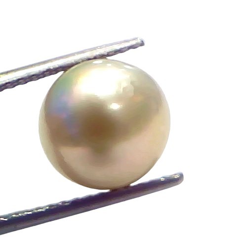 8.27 Ct Natural Certified Real South Sea Pearl Certified Moti 8.27 Ct Natural Certified Real South Sea Pearl Certified Moti