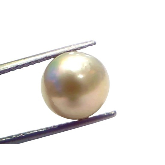 8.27 Ct Natural Certified Real South Sea Pearl Certified Moti