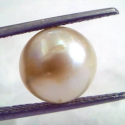 8.28 Carat Natural Certified Real South Sea Pearl,Certified Moti
