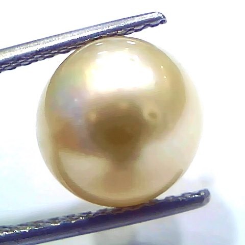 8.19 Ct Natural Certified Real South Sea Pearl Certified Moti