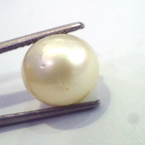 8.27 Carat Natural Certified Real South Sea Pearl,Certified Moti