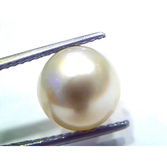 8.20 Ct Natural Certified Real South Sea Pearl Certified Moti