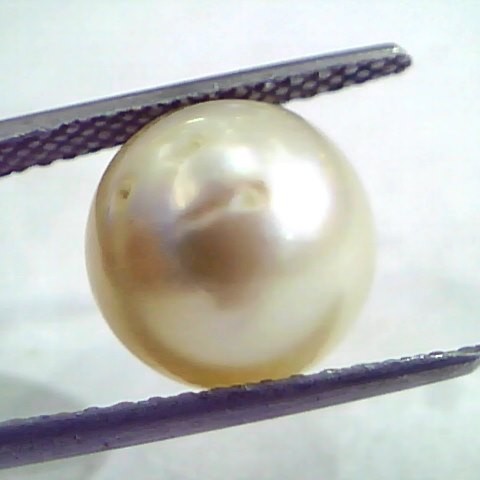 8.55 Carat Natural Certified Real South Sea Pearl,Certified Moti