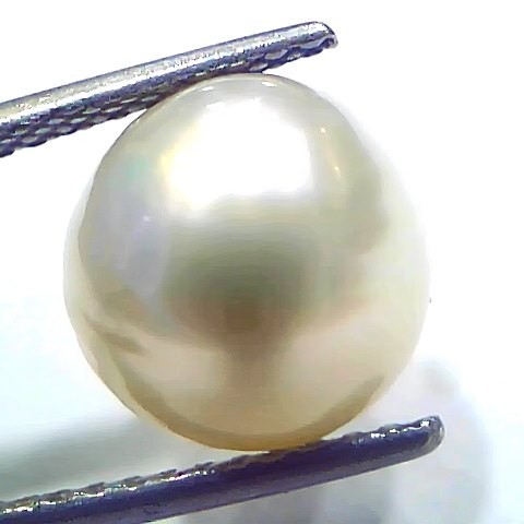 8.56 Ct Natural Certified Real South Sea Pearl Certified Moti