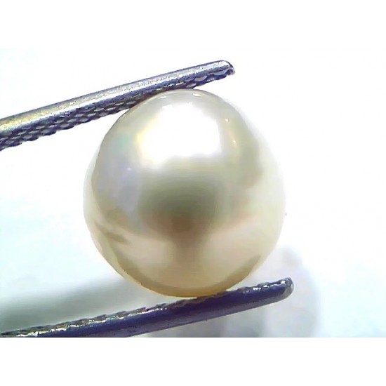 8.56 Ct Natural Certified Real South Sea Pearl Certified Moti