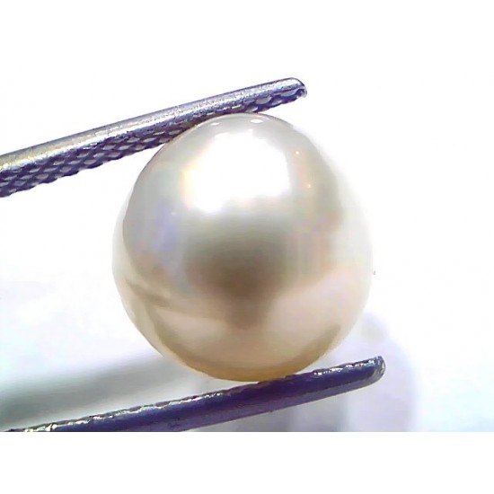 8.72 Ct Natural Certified Real South Sea Pearl Certified Moti