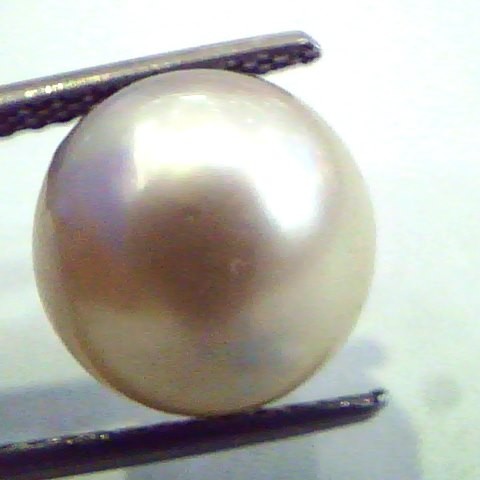 8.92 Carat Natural Certified Real South Sea Pearl,Certified Moti