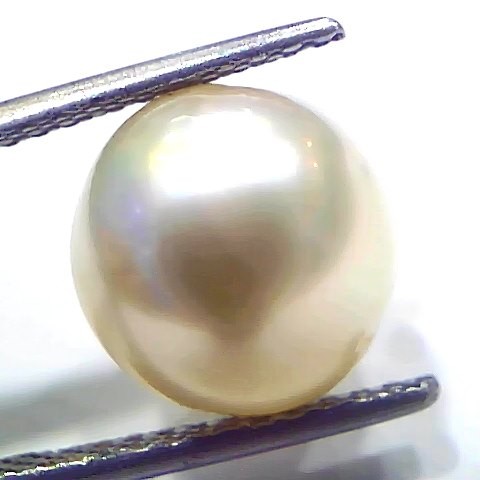 8.72 Ct Natural Certified Real South Sea Pearl Certified Moti
