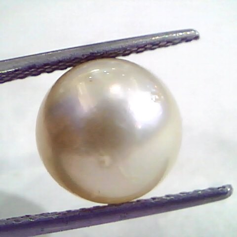 8.95 Carat Natural Certified Real South Sea Pearl,Certified Moti