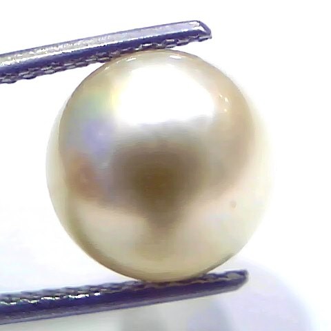 9.02 Ct Natural Certified Real South Sea Pearl Certified Moti