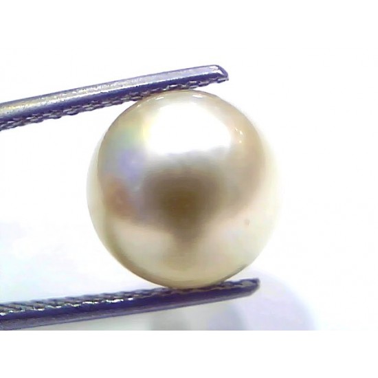 9.02 Ct Natural Certified Real South Sea Pearl Certified Moti