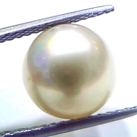 9.11 Ct Natural Certified Real South Sea Pearl Certified Moti