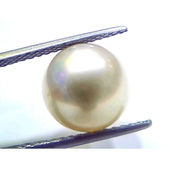 9.11 Ct Natural Certified Real South Sea Pearl Certified Moti
