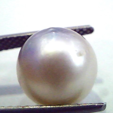9.26 Carat Natural Certified Real South Sea Pearl,Certified Moti