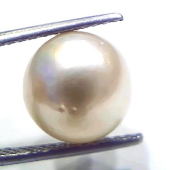 9.27 Ct Natural Certified Real South Sea Pearl Certified Moti