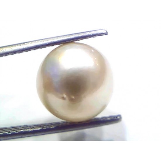9.27 Ct Natural Certified Real South Sea Pearl Certified Moti