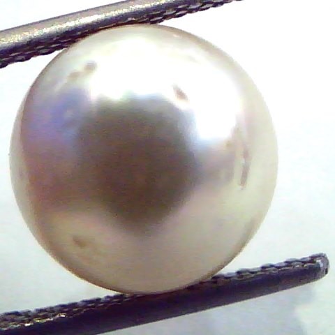 9.52 Carat Natural Certified Real South Sea Pearl,Certified Moti