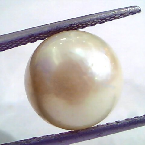 9.53 Carat Natural Certified Real South Sea Pearl,Certified Moti