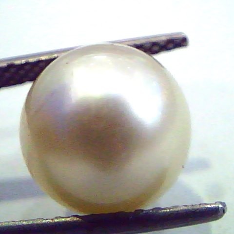 Huge 10.12 Carat Natural Certified Real South Sea Pearl,Certified Moti