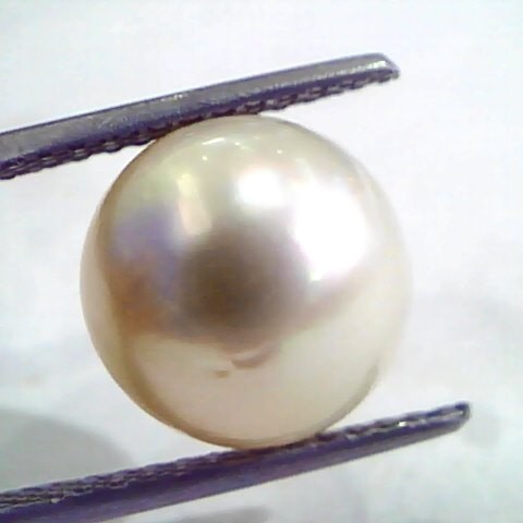 9.85 Carat Natural Certified Real South Sea Pearl,Certified Moti
