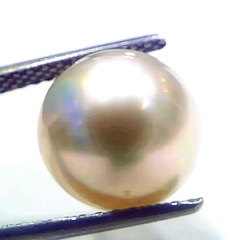 9.98 Ct Natural Certified Real South Sea Pearl Certified Moti