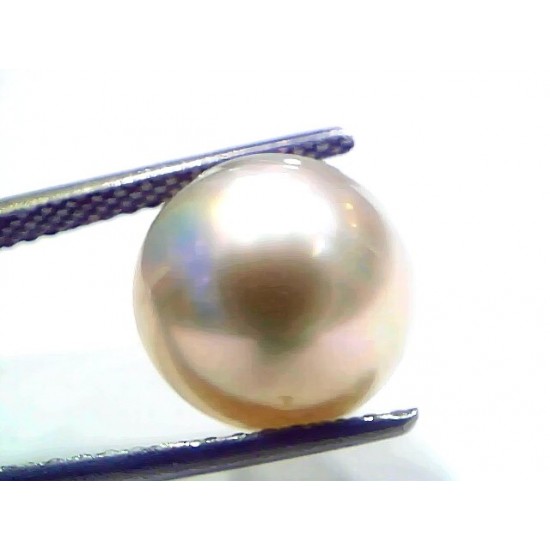 9.98 Ct Natural Certified Real South Sea Pearl Certified Moti