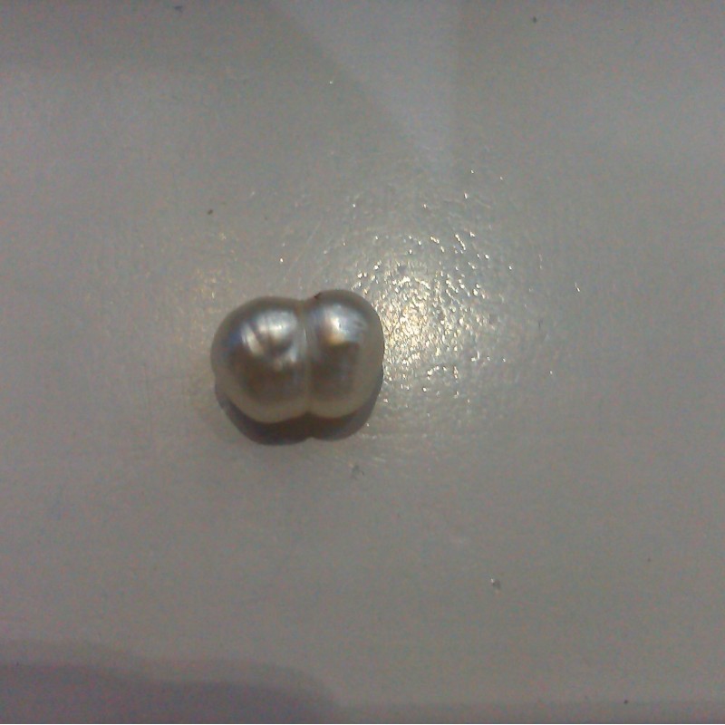 3.07 Ct Natural Venunjula Real Pearl/Moti Certified No culture 3.07 Ct Natural Venunjula Real Pearl/Moti Certified No culture