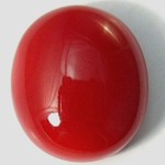 Red Coral-Moonga Red Coral-Moonga