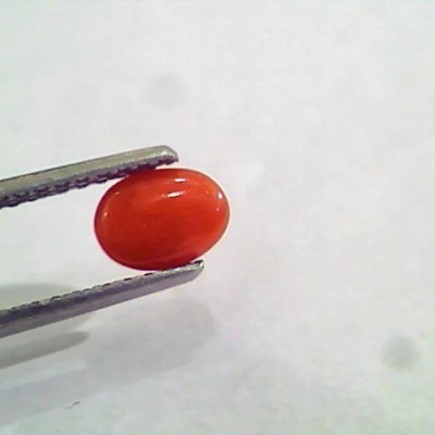 1.33 Carat Natural Italian Red Coral Moonga Gemstone AAAA