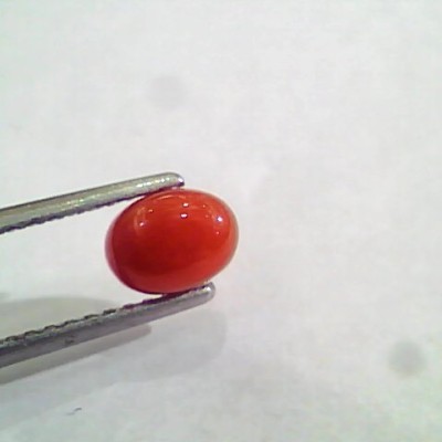 1.33 Carat Natural Italian Red Coral Moonga Gemstone AAAA